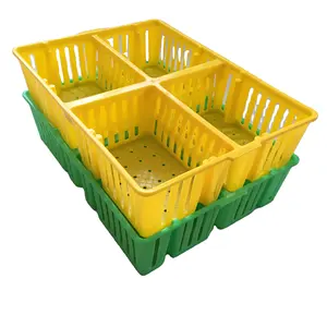 Factory direct sale day old layer chicks transportation cage baby chick turnover box plastic material transportation crate