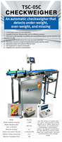 Máquina Automática de Control de Peso de Alta Velocidad, Verificador de Peso en Línea para Línea de Producción, Controlador de Peso Preciso, Soporte OEM/ODM