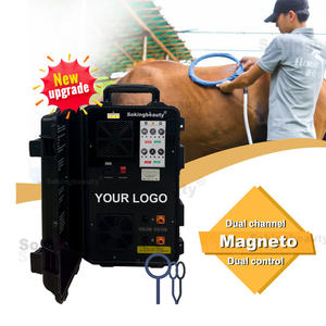 PEMF alat terapi magnetik kuda, alat terapi magnetik kuda PEMF pereda nyeri, mesin terapi medan elektromagnetik getaran fisik - Product Image 1