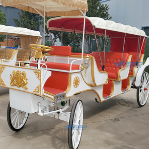 Carrosse de Victoria électrique pour le tourisme et les mariages, transport spécial, prix usine, à vendre - Product Image 6