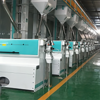 Machine à polir le riz série D PinYang D4 D5 D6 – Polisseuse automatique à eau pour riz – Usine de décorticage de riz