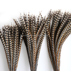 Bán Buôn Giá Rẻ 44Inch Lớn Lông Tự Nhiên 110Cm Reeves Gà lôi Đuôi Lông Cho Lễ Hội Đầu Trang Trí - Product Image 6