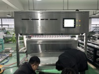 Optische bevroren frambozen kleursorteermachine voor bevroren fruit kleursorteermachine van WENYAO China