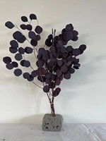 Feuilles d'eucalyptus conservées de haute qualité feuilles de pomme vraies fleurs pour décor de mariage et arrangement floral