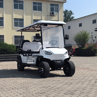 Voiturette de golf électrique tout-terrain tendance certifiée CE, capacité 500 kg+, vitesse 30-50 km/h, autonomie 70-90 km, 3-4 places, à vendre aux Émirats arabes unis