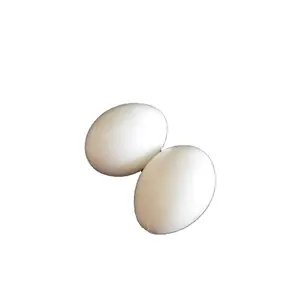 Emulating Ivory White Pink Plastic Pigeon Eggs, Inducing Pigeons To Hatch And Lay Eggs, High Quality Durable Solid