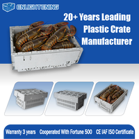 Caisse à homards empilable 605x390x350mm en plastique de qualité alimentaire pour la vente en gros de fruits de mer en Asie du Sud-Est