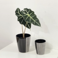 Pot bunga keramik hitam dekoratif Nordic dengan garis putih porselen bulat tahan lama untuk dekorasi luar ruangan/dalam ruangan rumah & Taman