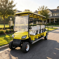 Voiturette de golf 10 places en gros, 60V 100AH, batterie au plomb, autonomie 80KM, pour utilisation en lieux de mariage, certifiée CE, OEM ODM