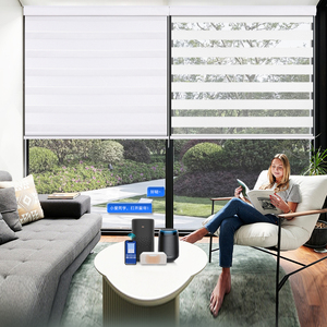 Trắng Hướng dẫn sử dụng Zebra Rèm phòng khách màn Đôi con lăn bóng Rèm Rèm cho cửa sổ Zebra rèm - Product Image 1