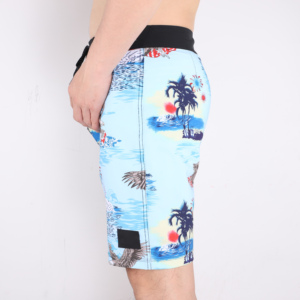 Shorts de Baño para Hombre de Secado Rápido con Estampado de Águila, Cintura con Cordón Ajustable, Shorts de Playa Casuales, Azul Claro con Diseño Estampado - Product Image 3