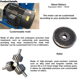 Promotion à durée limitée : Machine à granulés <span class=keywords><strong>d</strong></span>'aliments pour petits animaux 100 kg/h |   Choix idéal pour les petites exploitations agricoles et l'agriculture familiale - Product Image 5