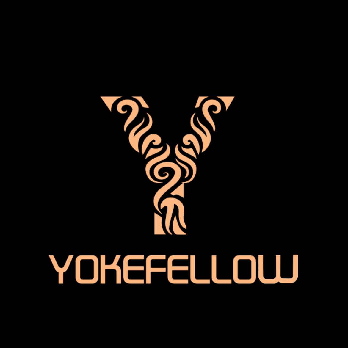 Guangzhou Yokefellow Electronic Co., Ltd. logo