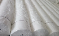 Géotextile spécial en polyester aiguilleté haute résistance pour le contrôle de l'érosion