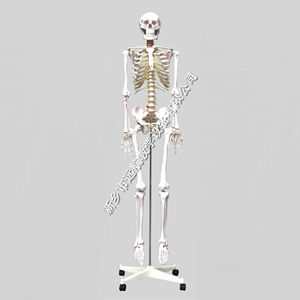 180cm - Product Image 2