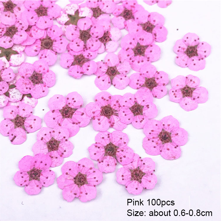 4/Petite jonquille rose