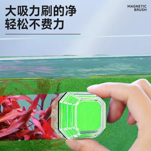 Cepillo Magnético de Cristal con Forma Octogonal, Material Plástico, Fácil de Usar, Herramienta de Limpieza para Acuarios - Product Image 4