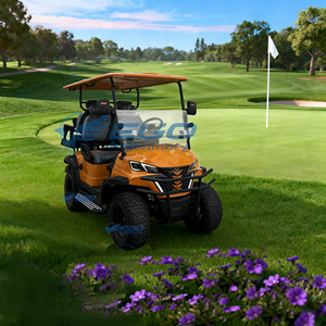 Carrito de Golf Eléctrico Clásico de 4 Plazas Económico con Batería de Litio/Plomo-Ácido Personalizable de 48V, Certificado CE, Alcance de 90 km - Product Image 4