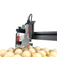 Venta caliente pollo pato huevo lote número línea de producción impresión automática fecha impresora de inyección de tinta