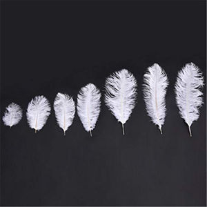 Plumes d'autruche blanches de toutes tailles, 15-70 cm (6-28 pouces), 10 pièces, pour l'artisanat, les accessoires de mariage, la décoration, décoration de plumes d'autruche - Product Image 2