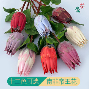 ดอกไม้ประดิษฐ์กิ๊งโปรเทียก้านเดี่ยว สีผสม สมจริง สำหรับตกแต่งบ้าน งานแต่งงาน - Product Image 3