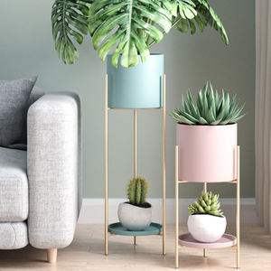 Support de <span class=keywords><strong>plante</strong></span> rose bleu or décor à la maison moderne support moyen support en <span class=keywords><strong>fer</strong></span> forgé intérieur Pot de fleur en métal support de <span class=keywords><strong>plante</strong></span> - Product Image 4