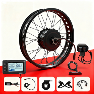 Kit de moteur de moyeu de vélo électrique à pneus gras de 20 pouces 48V 500W 750W 1000W 1500W 20x4.0, vélo électrique pour la neige, vélo électrique, contrôleur étanche - Product Image 5