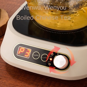Plaque de cuisson à induction 2 brûleurs 2000W en acier inoxydable avec commande tactile pour usage commercial – Réchaud à thé et plaque chauffante – Offre spéciale - Product Image 6