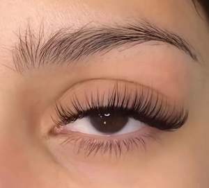 Classic Black Matte Soft Volume Eyelash Extension CC DD Self Grafting Individual 8-25mm <b>PBT</b> Lashes Thick Long - Product Image 6