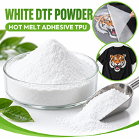 Poudre thermofusible DTF TPU Polyuréthane thermoplastique Forte adhérence Résistant au lavage Anti-fissuration Toucher doux Bonne élasticité