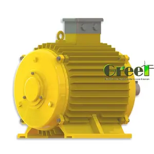 15kw low rpm Low Torque Micro Hydro electric permanent magnet ac generator