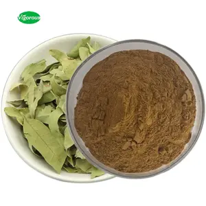 Free Sample Fesh China supplier Fresh Apocynum Venetum Extract