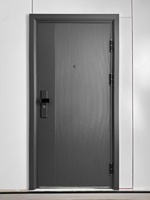 Porte d'entrée en acier durable, résistante à la moisissure, à l'isolation thermique et anti-fourmis