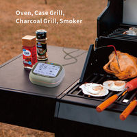 Thermomètre numérique sans fil Mingle APP USB pour aliments, barbecue, four, viande