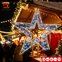 Maßgefertigtes 2D LED-Sternmotiv-Licht IP65 Außen-Weihnachtslandschaftsdekoration