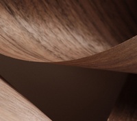 Table basse moderne en bois massif créative et durable, table d'appoint de luxe pour salon en noyer avec motif trèfle à quatre feuilles