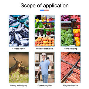 20 Pieces 300kg / 50g Digital LCD Smart <strong>Electronic</strong> Hook <strong>Scale</strong> Professional Waterproof Detachable Hook <strong>Industrial</strong> <strong>Scale</strong> Hanging - Product Image 6