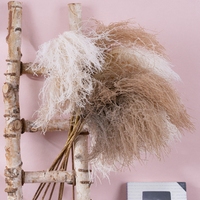 MW89004 Artificielle Fleur Roseau Herbe Faux Pampas Herbe Moustaches pour Mariage Fleurs Maison Table Boho Décor