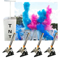Machine de Révélation de Sexe TNT à Démarrage en un Clic, Stock en Gros, avec Poudre Rose ou Bleue, Effets Spéciaux Feux d'Artifice, Canon à Confettis et Vaporisateur pour Fête Prénatale