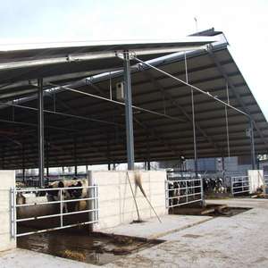 Conception innovante grange à vaches Construction robuste poulailler à faible coût d'entretien hangar pour animaux pour l'agriculture à vendre - Product Image 3
