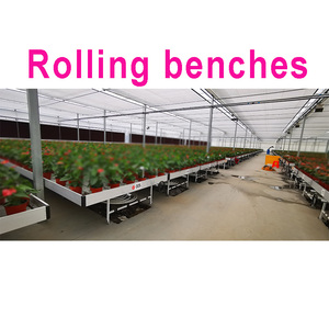 Banc de roulement de <span class=keywords><strong>marée</strong></span> hydroponique de reflux et de flux commercial Irrigation de <span class=keywords><strong>marée</strong></span> <span class=keywords><strong>Table</strong></span> de croissance banc de roulement de <span class=keywords><strong>marée</strong></span> pour serre - Product Image 2