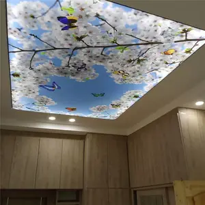 China pvc film details club house pvc ceiling film colored drawing film details pvc false ceiling design for bedroom