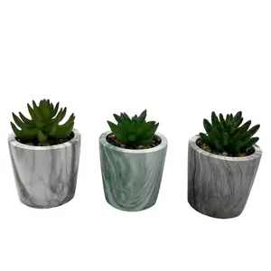 定制豪华大理石陶瓷花盆和迷你多汁绿色人造植物室内花盆