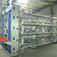 Cages de poulet pour volaille commerciale, afrique du sud, complètement automatique, Type H, 4 niveaux, 10000 œufs, avec mangeoire automatique