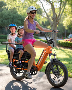 Vélo <span class=keywords><strong>cargo</strong></span> électrique de ville HovCart avec stock en entrepôt <span class=keywords><strong>allemand</strong></span> (UE/US/AU) pour deux enfants avec siège de protection, capteur de couple et pneus larges - Product Image 2