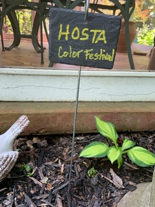 Étiquettes de plantes en <span class=keywords><strong>ardoise</strong></span> naturelle réutilisables et résistantes aux intempéries personnalisables étiquettes suspendues tige en métal pots de lit de fleurs de jardin jardinières herbe usagée - Product Image 6