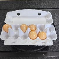 Cartons à œufs vides en pâte de papier naturelle, supports et contenants pour œufs frais de poule, boîtes de rangement