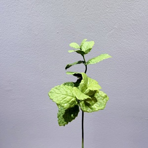 Feuilles de menthe artificielles Meng Jie 30cm-100cm, plante en plastique pour décorations de mariage et arrangements DIY - Product Image 2