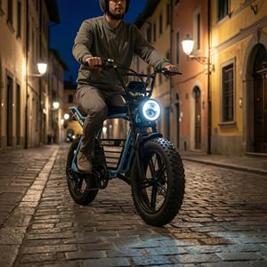 Klasik Şehir Sürüşü Geceye Hazır Heritage Elektrikli Bisiklet, LED Farlı, Eski Şehir Yaya Döngüsü Yolları için Şehir E-bisikleti - Product Image 2