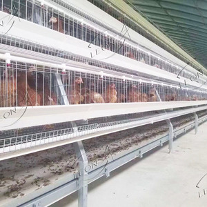 Giá thấp dây thép không gỉ lưới trắng lớn hoặc trung bình một loại lớp lồng chim - Product Image 2